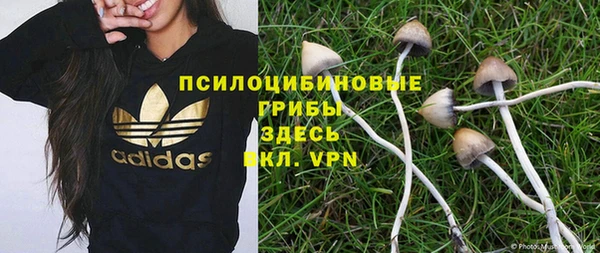 круглые Козловка