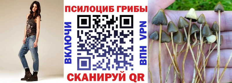 сайты даркнета наркотические препараты  Опочка  Галлюциногенные грибы Psilocybe 